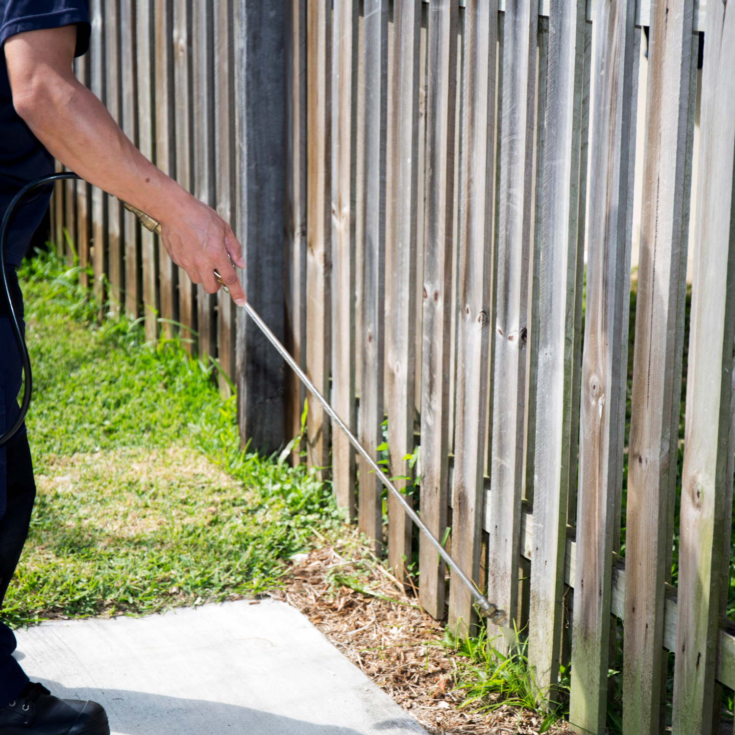 Professional pest control technician inspecting a home